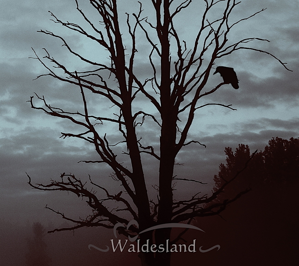 Waldesland | Tribute CD